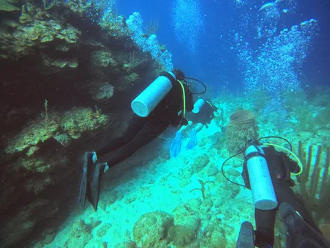 DCIM100GOPROGOPR0020.JPG