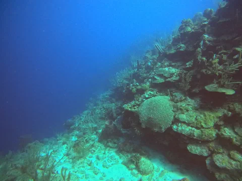 DCIM100GOPROGOPR0025.JPG