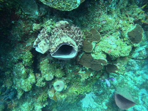 DCIM100GOPROGOPR0033.JPG
