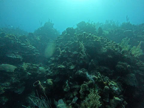 DCIM100GOPROGOPR0065.JPG