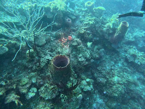 DCIM100GOPROGOPR0068.JPG