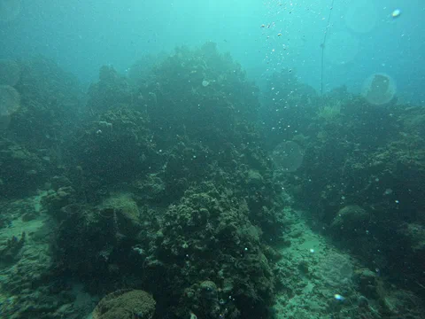 DCIM100GOPROGOPR0073.JPG