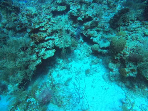 DCIM100GOPROGOPR0084.JPG