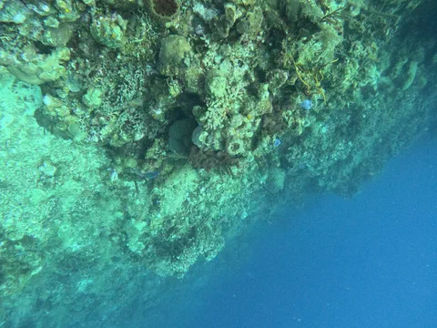DCIM100GOPROGOPR0097.JPG