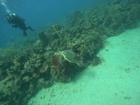 DCIM100GOPROGOPR0105.JPG