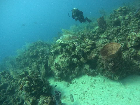 DCIM100GOPROGOPR0106.JPG