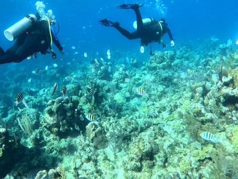GX010053_1674594899553