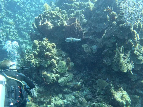 GX010089_1674594817182