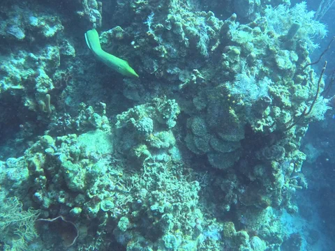 GX010090_1674594797449