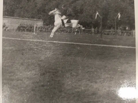 Horse Show